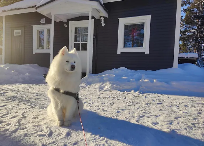 Milla Dom wakacyjny Rovaniemi